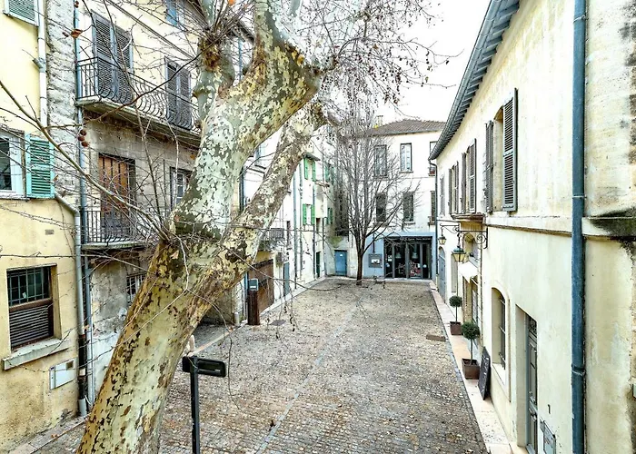 Studios entre le Pont d\' Avignon et le Palais des Papes