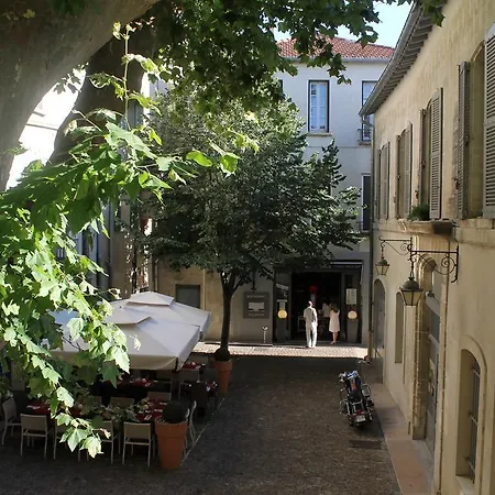 Studios Entre Le Pont D' Avignon Et Le Palais Des Papes Buitenkant foto