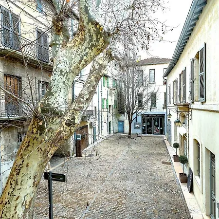 Studios Entre Le Pont D' Avignon Et Le Palais Des Papes Buitenkant foto