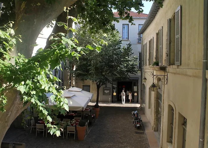 Studios entre le Pont d\' Avignon et le Palais des Papes